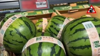 VIDEO Misterul pepenelui care se decojește. Ce spun fermierii: "Probabil că avea..."