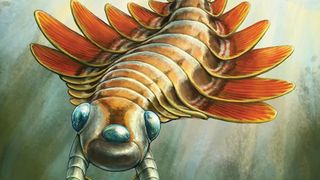 Molia de mare ascunde un secret teribil: deține gheare pe cap