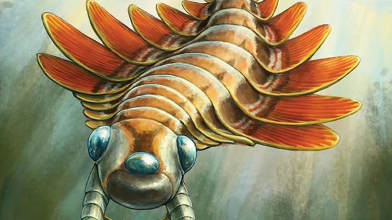 Molia de mare ascunde un secret teribil: deține gheare pe cap