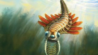 Prădătorul cu trei ochi care i-a uimit pe oamenii de știință.