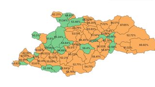 Cum au votat românii din Maramureș