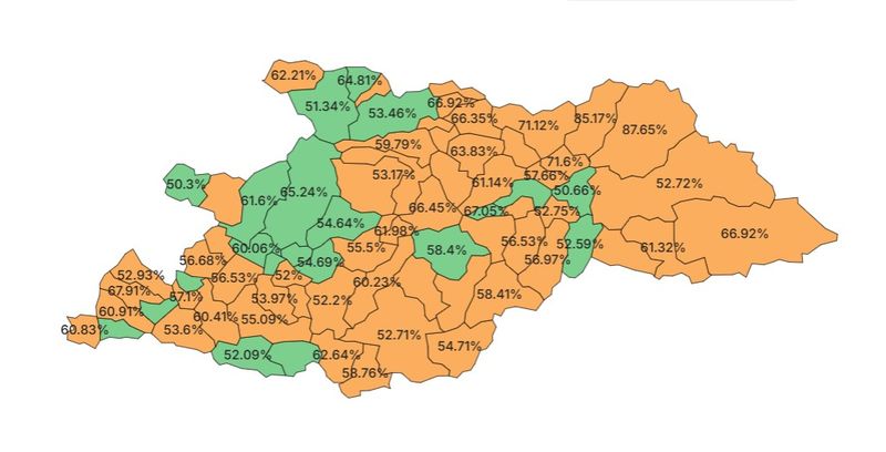 Cum au votat românii din Maramureș