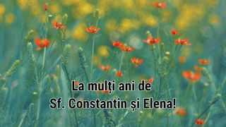 Imagini cu text, mesaje și urări de Sf. Constantin și Elena