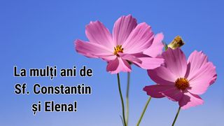 Imagini cu text, mesaje și urări de Sf. Constantin și Elena