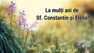 Imagini cu text, mesaje și urări de Sf. Constantin și Elena: &rdquo;La mulți ani cu sănătate, fericire și &icirc;mpliniri!&rdquo;