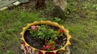 VIDEO Concurs pentru grădinile din fața blocului. Cel mai frumos spațiu verde, premiat de primărie 