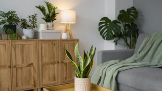 Accesorii de interior care transforma instant orice camera&nbsp;