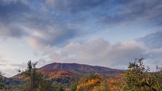 Munții Maramureșului