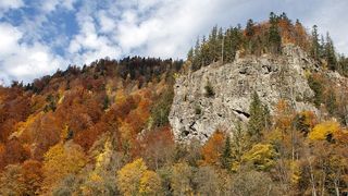 Munții Maramureșului