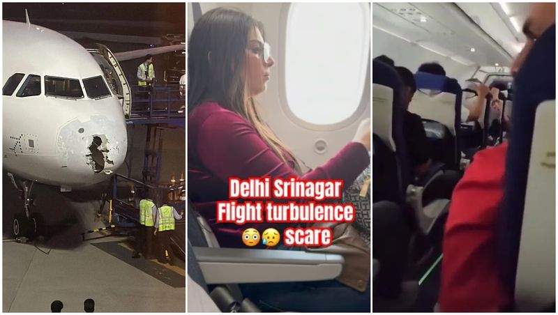 Scene de groază la bordul unui avion lovit de un stol de păsări