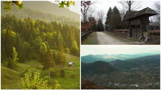 5 lucruri mai puțin cunoscute despre Parcul Dendrologic Livada din Maramureș