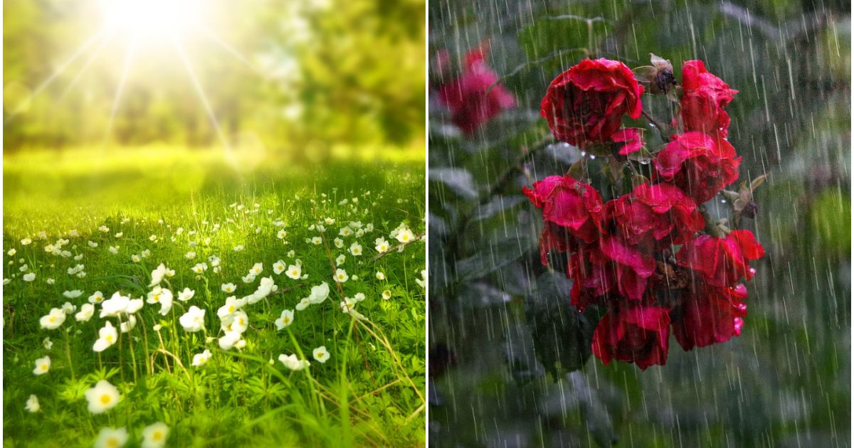 Cгўnd Vine Vara г N Romгўnia Prognoza Meteo Pentru Urmдѓtoarea Perioadдѓ