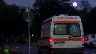 VIDEO Un copil de 2 ani a fost sfâșiat de câini, în Medgidia. Micuțul, salvat de un martor, se află în stare gravă: "Inițial am crezut că e o păpușă din plastic"