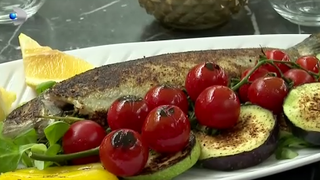 VIDEO Păstrăvul de munte „iubește” apa sărată din Marea Neagră