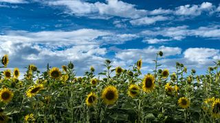 Prognoza ANM pentru luna iunie. Cum va fi vremea &icirc;n următoarele săptăm&acirc;ni