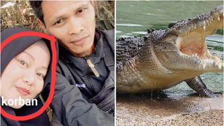 Femeie de 28 de ani, însărcinată în opt luni, ucisă de un crocodil în timp ce gătea în bucătărie