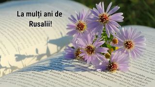 Ce nume se sărbătoresc de Rusalii? Spune-le La mulți ani!