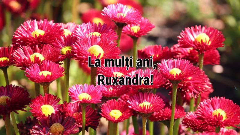 Felicitare cu La mulți ani, Roxana!