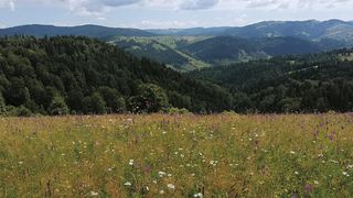 Obcinele Bucovinei  - județul Suceava