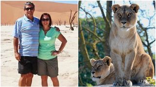 Un om de afaceri german, ucis de o leoaică &icirc;n safari