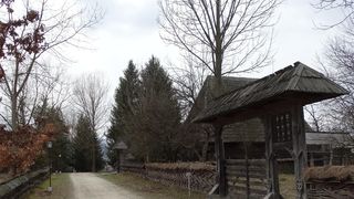 Obiceiuri de Rusalii din Maramureș