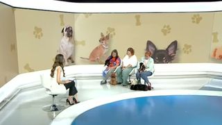 VIDEO Pregătiri pentru concursul de frumusețe canină. Detalii din spatele culiselor