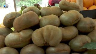 ChatGPT, noul consultant de la piață