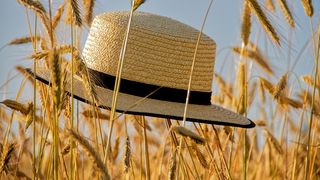 Solstițiu de vară 2025