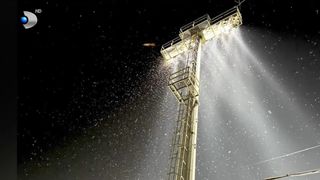 VIDEO „Prezintă doar factori de disconfort”. Invazie de molii lângă București