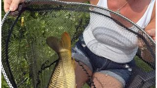 Ucisă de o mică zgârâietură