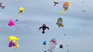 VIDEO Festivalul pasionaților de zmeie, un spectacol de culoare