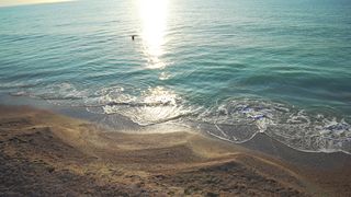 VIDEO Plajele de lux din Mamaia, pline de turiști