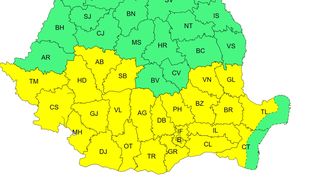 cod galben canicula, ANM