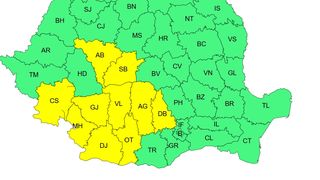 cod galben canicula, ANM