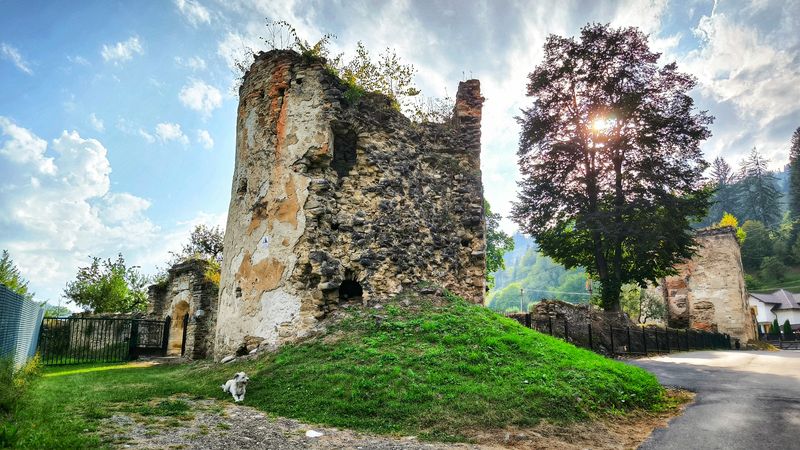 Palatul Cnejilor - Neamt