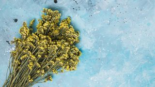 Noaptea de S&acirc;nziene 2025: Tradiții și obiceiuri. Ce trebuie să faci pentru a-ți visa ursitul