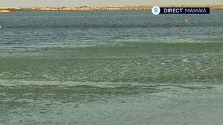 VIDEO &bdquo;Amenințarea&rdquo; verde de pe litoral. Algele nu &icirc;i sperie pe turiști