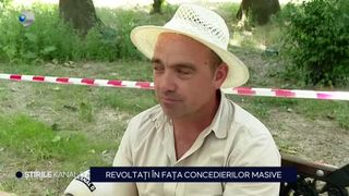 VIDEO &bdquo;Cine nu vrea, să plece&rdquo; Grindeanu cere reformă dură &icirc;n sistemul bugetar! Indemnizații și prime de zeci de mii de euro &icirc;n companiile de stat, &icirc;n timp ce primăriile din sate abia supraviețuiesc