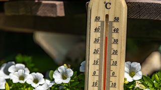 VIDEO Canicula „topește” România. Oamenii au de suferit din cauza căldurii