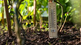 VIDEO 2025, temperaturi record pe glob. Anomalii &icirc;n Marea Mediterană