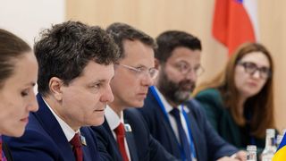 nicusor dan, consiliul european 