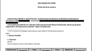 Declarație de avere a lui Daniel David
