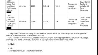 Declarație de avere a lui Daniel David