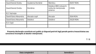 Declarație de avere a lui Daniel David