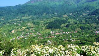 5 lucruri mai puțin cunoscute despre Baia Sprie, orașul din Maramureș cu un însemnat trecut istoric