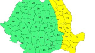 cod galben vant puternic, cod galben canicula, ANM