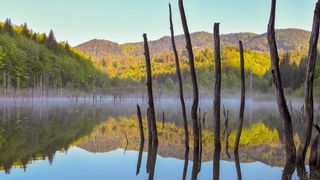 Lacul Cuejdel - județul Neamț
