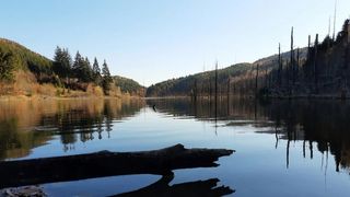 Lacul Cuejdel - județul Neamț