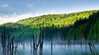 Lacul Cuejdel - județul Neamț