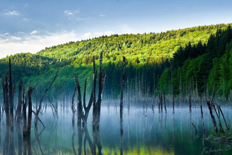 Lacul Cuejdel - județul Neamț